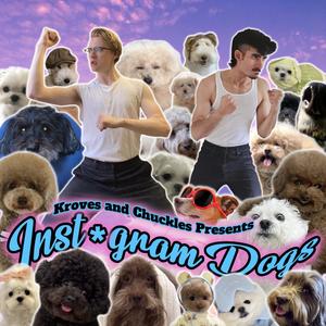 INSTAGRAM DOGS