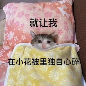 毕生所求