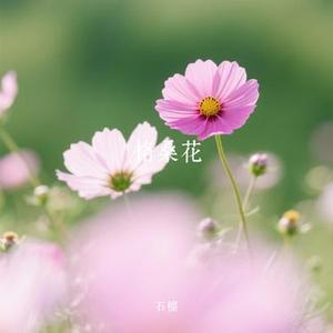 格桑花  (Cover 陳鴨梨Charlie)