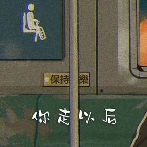 你走以后