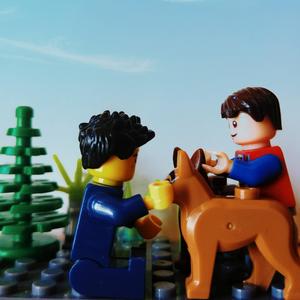 那些花儿（翻自 许鹤缤）