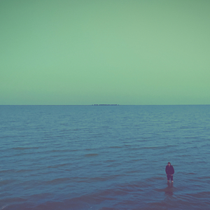 beskonechniy skript (pridorozhnye stolby, nymphalidy)