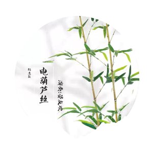 晴雯歌(电葫芦丝版）