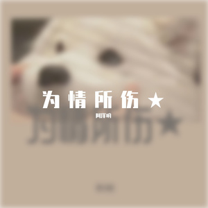 为情所伤～凯旋pp