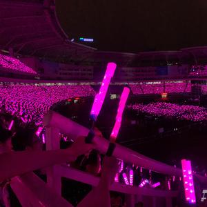 情若无花不结果