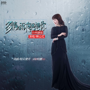 多情的雨夜更想你-DJ何鹏版 (伴奏)