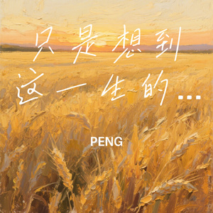 只是想到这一生的过往