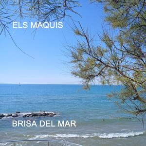 BRISA DEL MAR