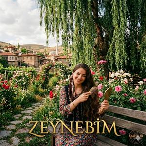 Zeynebim