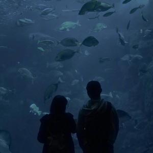 18岁的成年礼 (prod. by wavytrbl)