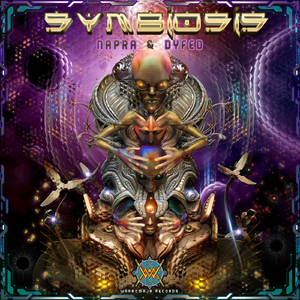 Starlink (Original Mix)