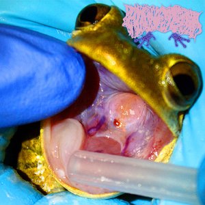 I Am Completely & Utterly Unwell