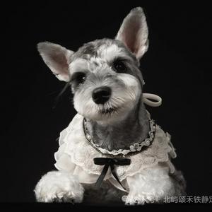 山林雨夜的温馨时光