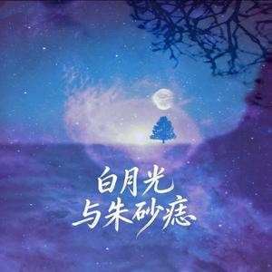 白月光与朱砂痣（从前的歌谣都在指尖绕）