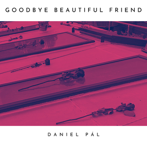 Goodbye Beautiful Friend