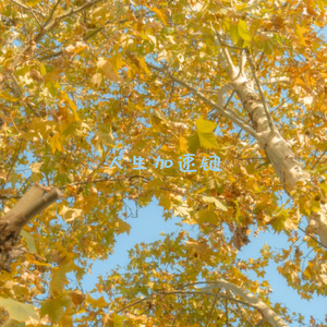 人生加速键（下一个天亮）