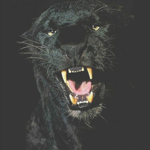 Gatspo (Original Mix)