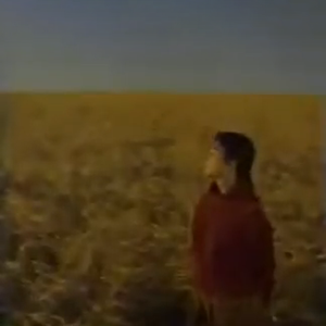 太陽と共に流れる