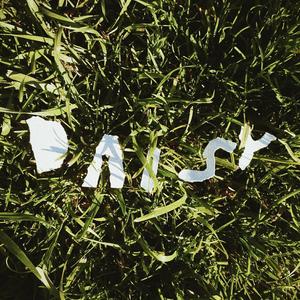 Dasy