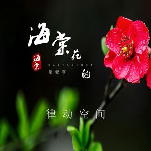 海棠花的语轻寒