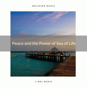 Peace and the Power of Sea of Life