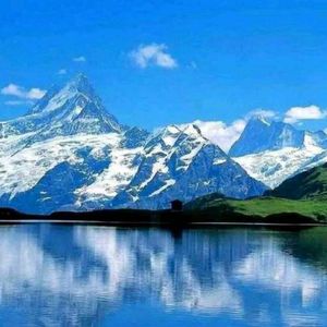 至心皈命九尾猫元君姐妹