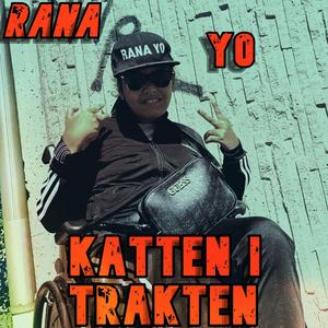 katten i trakten