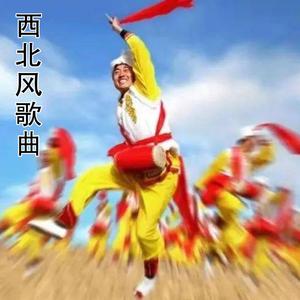 我们是黄河泰山