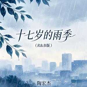 十七岁的雨季（R&B版）