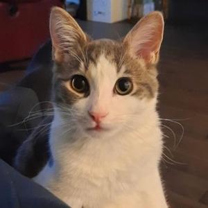 Halloween (feat. BigFa)