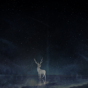 第1983个失踪的梦