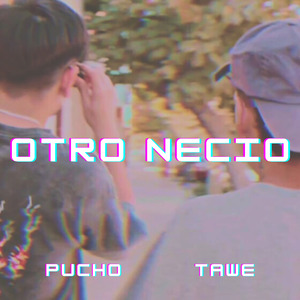 Otro Necio