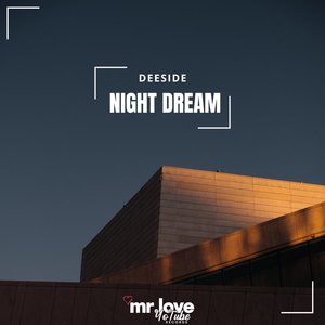 Night Dream