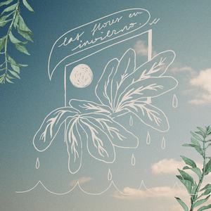 Las Flores en Invierno