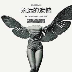 永远的遗憾 (Lo-fi)