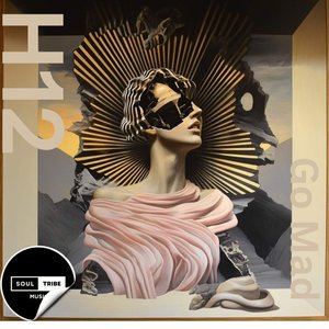 Go Mad (Evil Ape Remix)