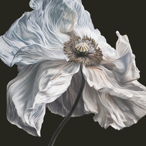 Crystallize