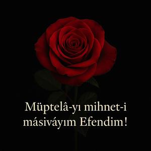 Müptelâ-yı mihnet-i mâsivâyım Efendim!