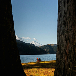시선이 머무는 곳