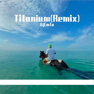 Titanium(Remix)