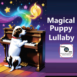 Puppy Paws & Unicorn Dust