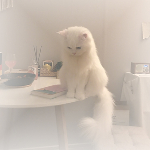 暖暖(cover:梁静茹).wav