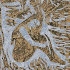 Happy to Live in Your Umbilicus