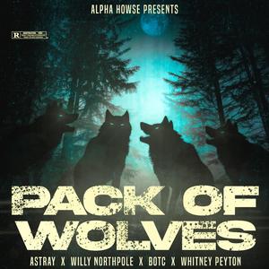 Pack Of Wolves (feat. Bag of Tricks Cat)