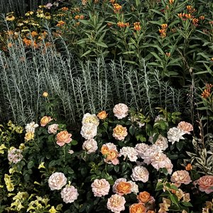 你不爱我我就爱别人