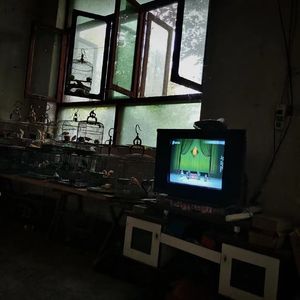 笼中鸟（Prod by 4Harry）