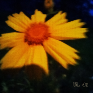 Day dream（prod.by hsy ）