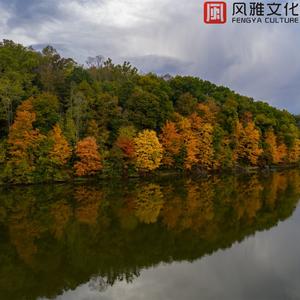 大风车经过的老牛 -钢琴