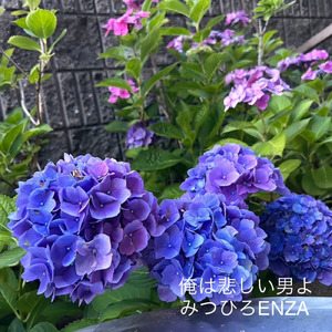 俺は悲しい男よ