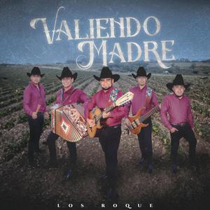 Valiendo Madre